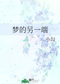 梦的另一端